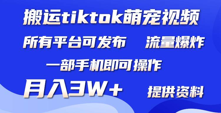 搬运Tiktok萌宠类视频，一部手机即可。所有短视频平台均可操作，月入3W+-优优资源网