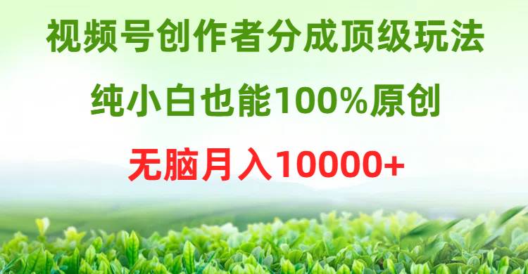视频号创作者分成顶级玩法，纯小白也能100%原创，无脑月入10000+-优优资源网
