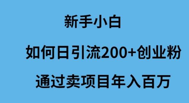 新手小白如何日引流200+创业粉通过卖项目年入百万-优优资源网