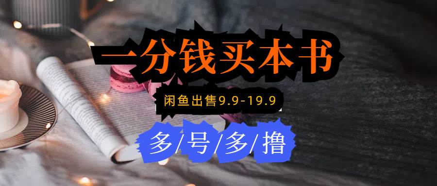 每天花1分钱买一本书，闲鱼出售9.9-19.9不等，多账号多撸 新手小白均可操作-优优资源网