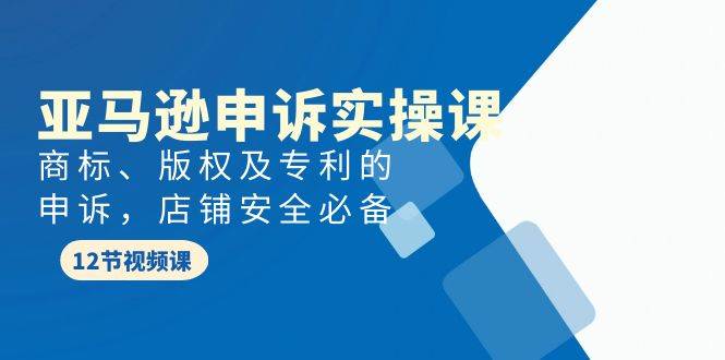 亚马逊-申诉实战课，商标、版权及专利的申诉，店铺安全必备-优优资源网