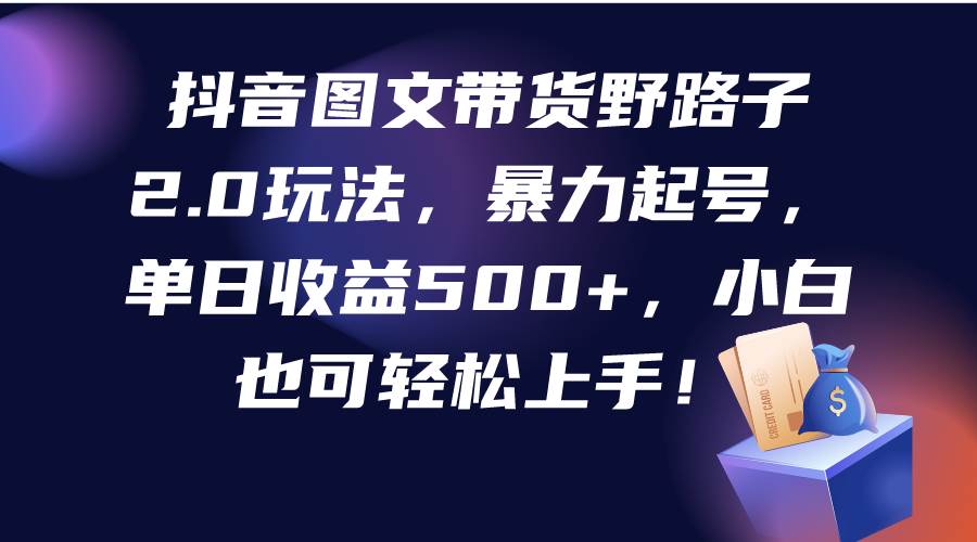 抖音图文带货野路子2.0玩法，暴力起号，单日收益500+，小白也可轻松上手！-优优资源网