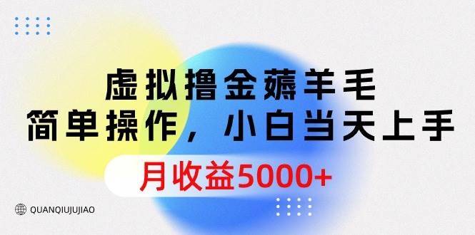 虚拟撸金薅羊毛，简单操作，小白当天上手，月收益5000+-优优资源网