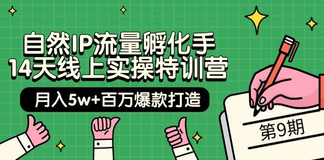 自然IP流量孵化手 14天线上实操特训营【第9期】月入5w+百万爆款打造 (74节)-优优资源网