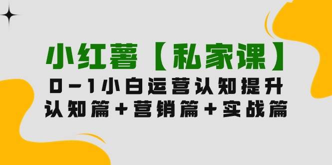 小红薯【私家课】0-1玩赚小红书内容营销，认知篇+营销篇+实战篇（11节课）-优优资源网