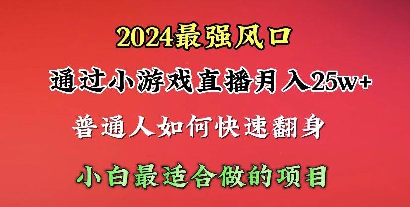 2024年最强风口，通过小游戏直播月入25w+单日收益5000+小白最适合做的项目-优优资源网