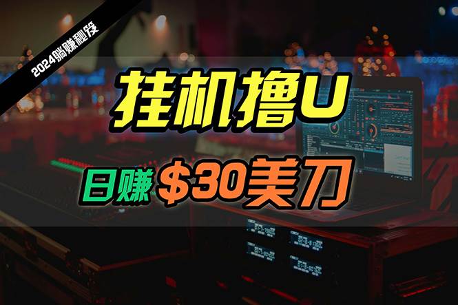 日赚30美刀，2024最新海外挂机撸U内部项目，全程无人值守，可批量放大-优优资源网