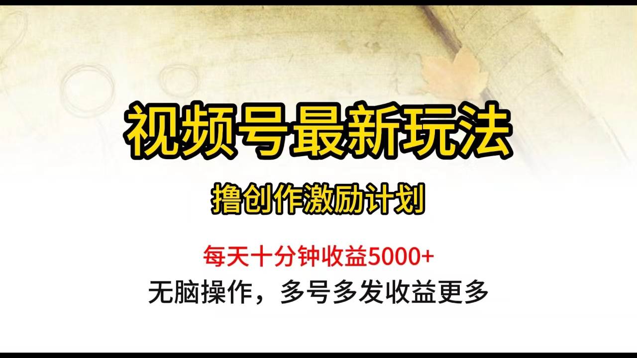 视频号最新玩法，每日一小时月入5000+-优优资源网