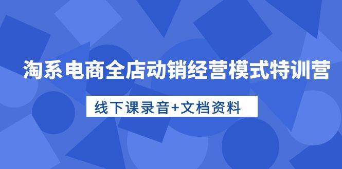 淘系电商全店动销经营模式特训营，线下课录音+文档资料-优优资源网