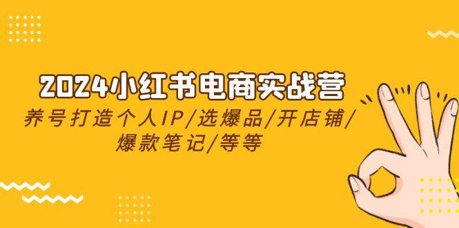 2024小红书电商实战营，养号打造IP/选爆品/开店铺/爆款笔记/等等（24节）-优优资源网