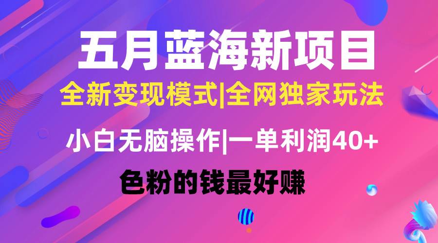 五月蓝海项目全新玩法，小白无脑操作，一天几分钟，矩阵操作，月入4万+-优优资源网