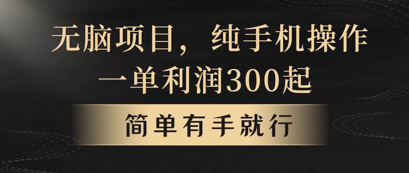 无脑项目，一单几百块，轻松月入5w+，看完就能直接操作-优优资源网