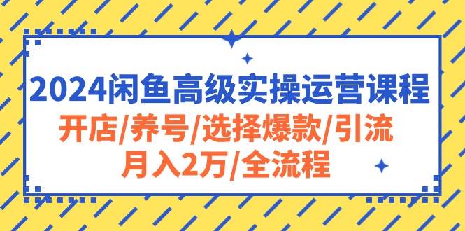 2024闲鱼高级实操运营课程：开店/养号/选择爆款/引流/月入2万/全流程-优优资源网