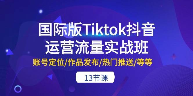 国际版Tiktok抖音运营流量实战班：账号定位/作品发布/热门推送/等等-13节-优优资源网
