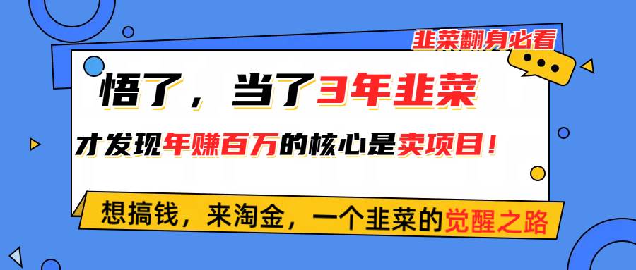 悟了，当了3年韭菜，才发现网赚圈年赚100万的核心是卖项目，含泪分享！-优优资源网