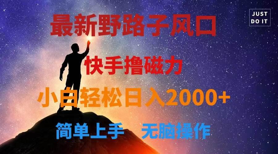 最新风口！快手撸磁力，野路子，小白无脑操作日入2000+-优优资源网