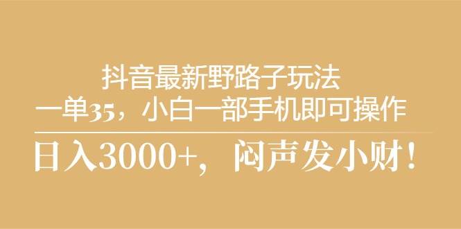 抖音最新野路子玩法，一单35，小白一部手机即可操作，，日入3000+，闷...-优优资源网