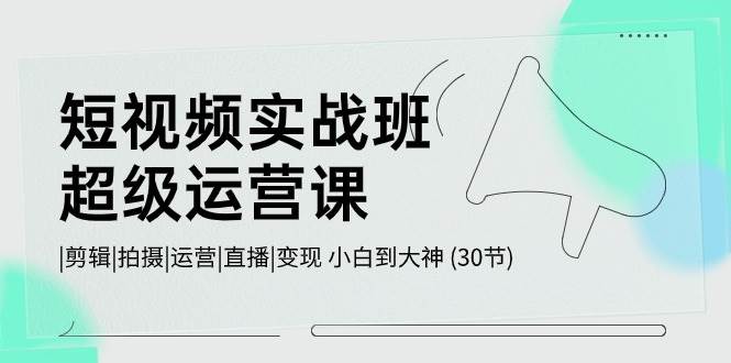 短视频实战班-超级运营课，|剪辑|拍摄|运营|直播|变现 小白到大神 (30节)-优优资源网