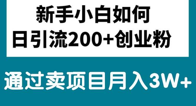 新手小白日引流200+创业粉,通过卖项目月入3W+-优优资源网