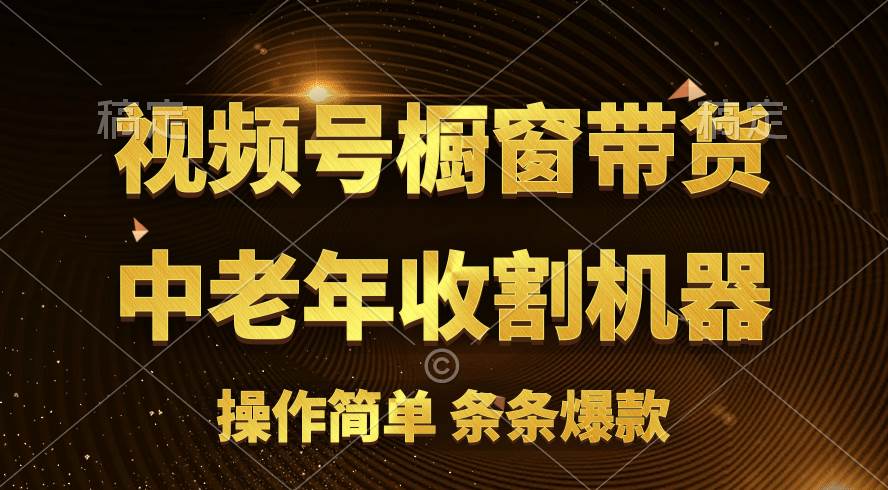 [你的孩子成功取得高位]视频号最火爆赛道，橱窗带货，流量分成计划，条...-优优资源网