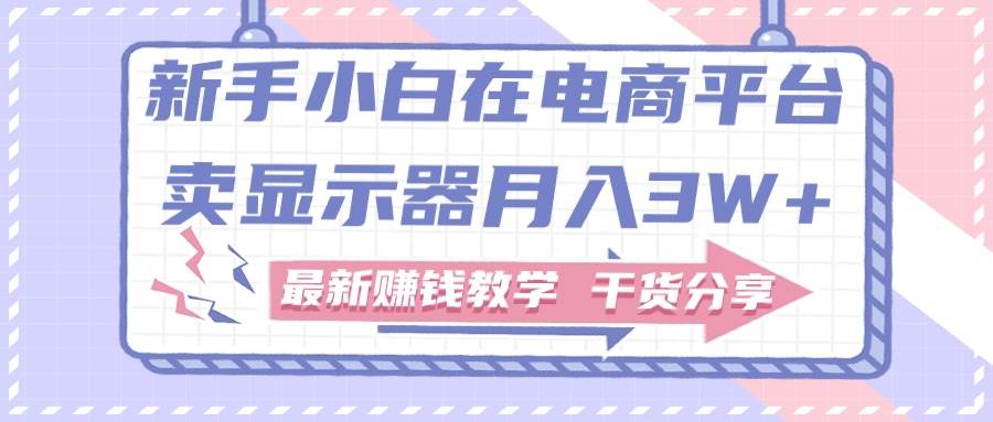 新手小白如何做到在电商平台卖显示器月入3W+，最新赚钱教学干货分享-优优资源网