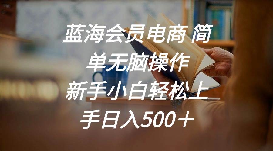 蓝海会员电商 简单无脑操作 新手小白轻松上手日入500＋-优优资源网