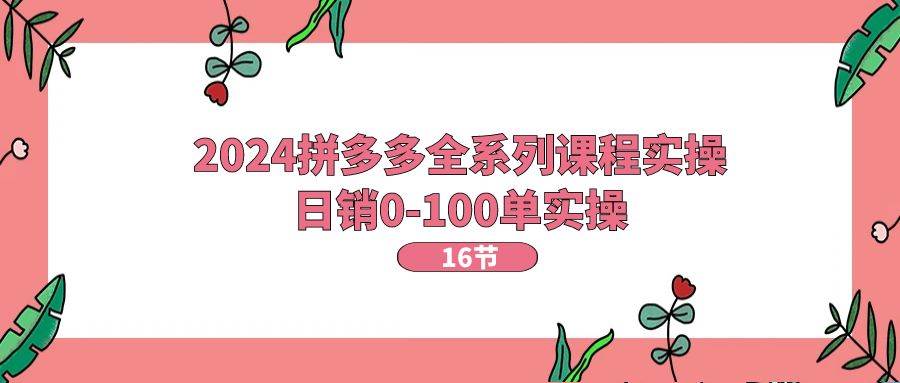 2024拼多多全系列课程实操，日销0-100单实操【16节课】-优优资源网