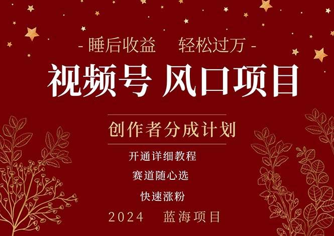 拥有睡眠收益的微信视频号大风口项目，轻松月入过万+，多赛道选择，可...-优优资源网