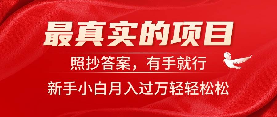 最真实的项目，照抄答案，有手就行，新手小白月入过万轻轻松松-优优资源网