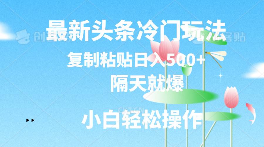 最新头条冷门玩法，隔天就爆，复制粘贴日入500+-优优资源网
