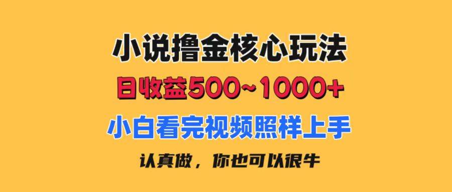 小说撸金核心玩法，日收益500-1000+，小白看完照样上手，0成本有手就行-优优资源网