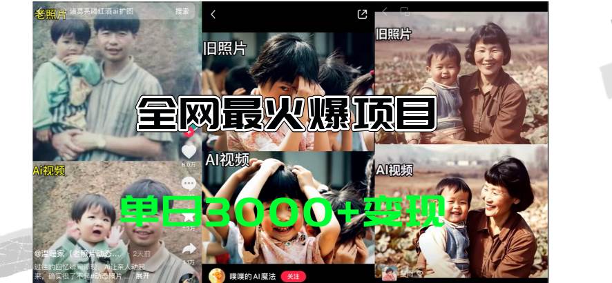 全网爆火的AI让老照片动起来教程，蹭热点日赚3000+，内含免费工具一键...-优优资源网