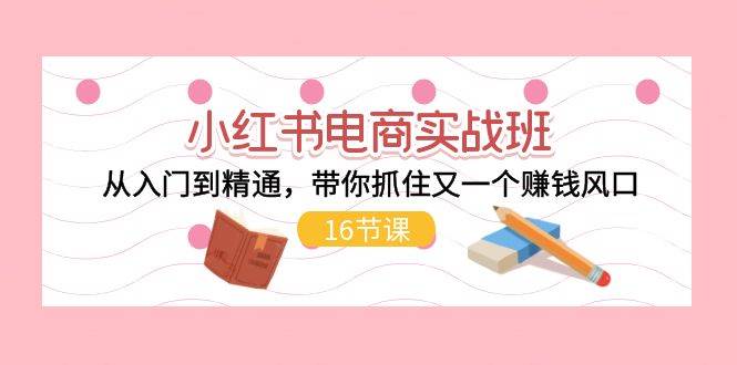 小红书电商实战班，从入门到精通，带你抓住又一个赚钱风口（16节）-优优资源网