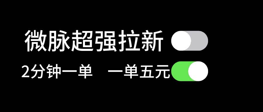 微脉超强拉新， 两分钟1单， 一单利润5块，适合小白-优优资源网