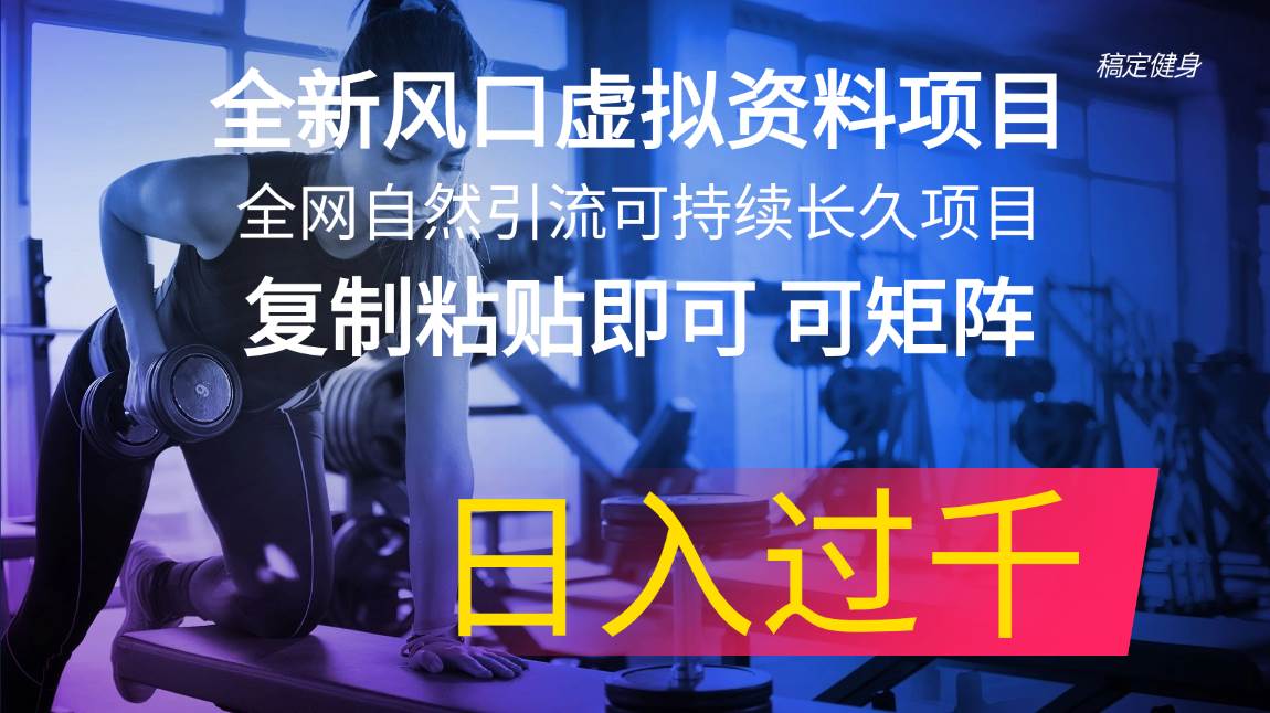 全新风口虚拟资料项目 全网自然引流可持续长久项目 复制粘贴即可可矩阵...-优优资源网