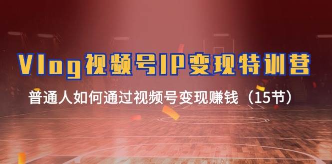 Vlog 视频号IP变现特训营，普通人如何通过视频号变现赚钱（15节）-优优资源网