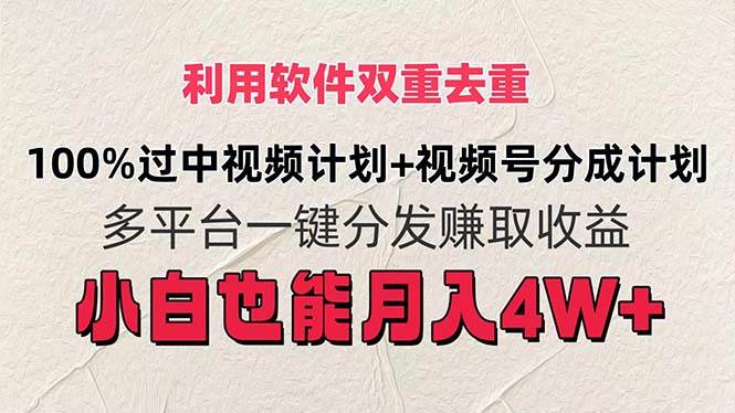 图片[1]-利用软件双重去重，100%过中视频+视频号分成计划小白也可以月入4W+-优优资源网