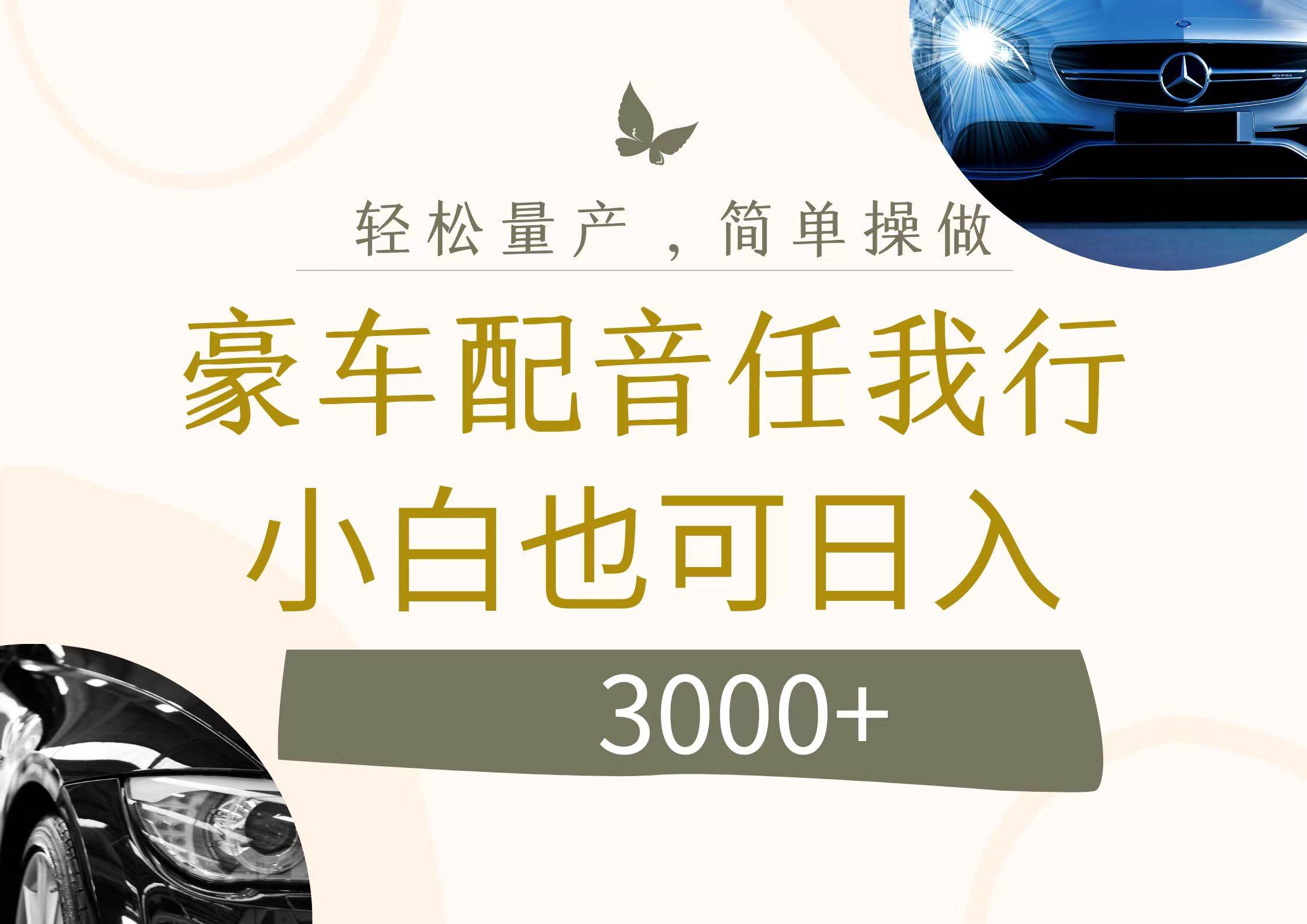 不为人知的暴力小项目，豪车配音，日入3000+-优优资源网