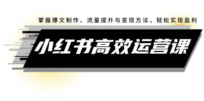 小红书高效运营课：掌握爆文制作、流量提升与变现方法，轻松实现盈利-优优资源网